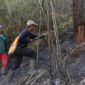Kebakaran Ranu Kembang, BB TNBTS Tutup Total Jalur Pendakian Semeru. (Foto: TNBTS)