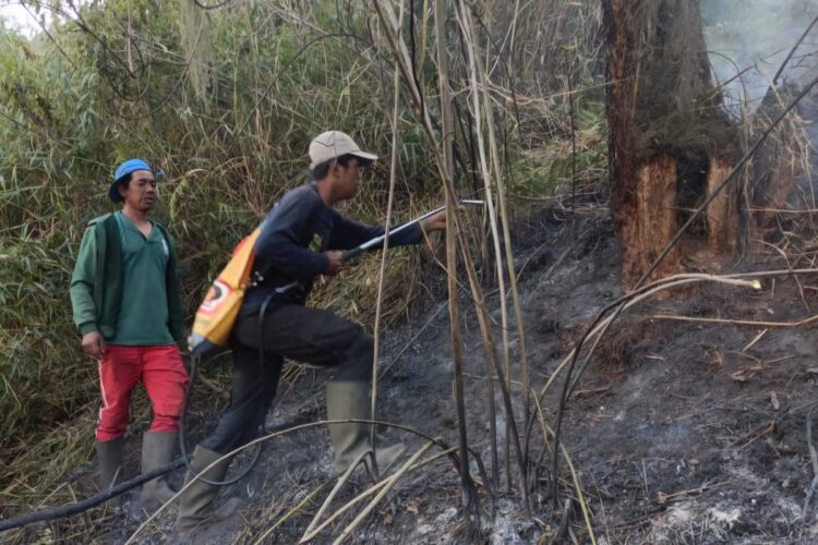 Kebakaran Ranu Kembang, BB TNBTS Tutup Total Jalur Pendakian Semeru. (Foto: TNBTS)