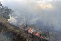 Kebakaran Bromo merambat ke Savana. (Foto: dok TNBTS)