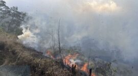 Kebakaran Bromo merambat ke Savana. (Foto: dok TNBTS)