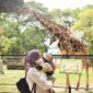 Foto: dok KBS