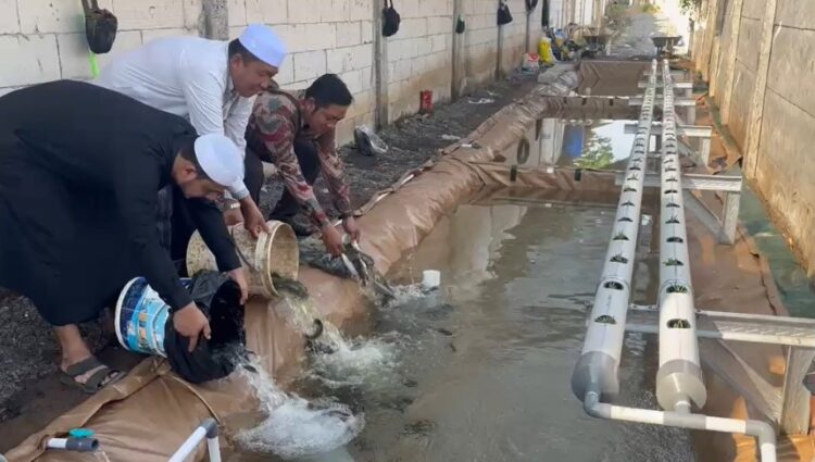 Peresmian kolam ikan yang ditandai dengan pelepasan benih ikan di Pondok Pesantren Nurul Iman Probolinggo/dok.bicarasurabaya.com