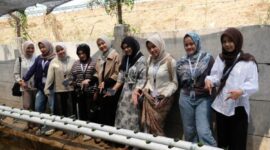 Dosen Pendamping Lapangan bersama mahasiswanya menunjukkan tanaman Aquaponik yang ditanamnya/dok.bicarasurabaya.com