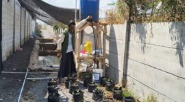 Salah  seorang mahasiswa sedang memperbaiki saluran irigasi tetes/dok.bicarasurabaya.com
