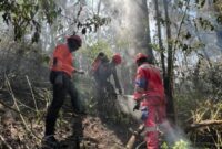 Personel Damkar Surabaya berjibaku padamkan api di Gunung Bromo. (Foto: dok tim Rescue DPKP Surabaya)