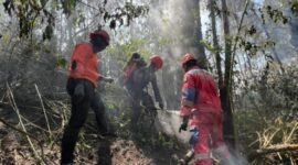 Personel Damkar Surabaya berjibaku padamkan api di Gunung Bromo. (Foto: dok tim Rescue DPKP Surabaya)
