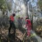 Personel Damkar Surabaya berjibaku padamkan api di Gunung Bromo. (Foto: dok tim Rescue DPKP Surabaya)