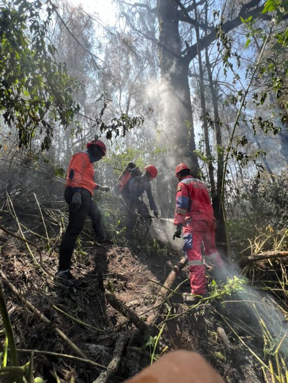 Personel Damkar Surabaya berjibaku padamkan api di Gunung Bromo. (Foto: dok tim Rescue DPKP Surabaya)