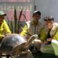 Kebun Binatang Surabaya (KBS) mendapat tambahan koleksi satwa dari Jepang. Empat kura-kura Aldabra (Aldabrachelys gigantea) didatangkan langsung dari iZoo, Shizuoka, dengan bobot mencapai 100 kilogram. (Foto: Humas KBS)
