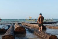 Penampakan kayu gelondongan dengan label kuning di pantai di Sumenep. Foto: Istimewa)