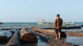 Penampakan kayu gelondongan dengan label kuning di pantai di Sumenep. Foto: Istimewa)
