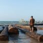 Penampakan kayu gelondongan dengan label kuning di pantai di Sumenep. Foto: Istimewa)