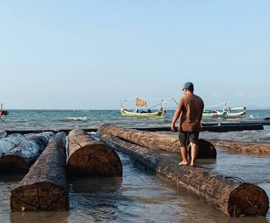 Penampakan kayu gelondongan dengan label kuning di pantai di Sumenep. Foto: Istimewa)