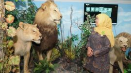 Khofifah Jajaki Kolaborasi Pengembangan Museum Mpu Tantular di Sidoarjo. (Foto: Humas Pemprov Jatim)
