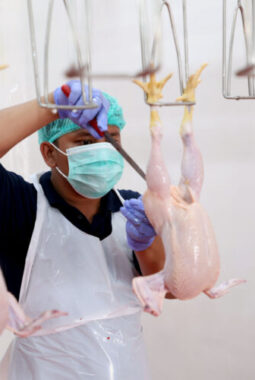 Usaha Potong Ayam di Bratang Dikeluhkan Warga, RPH Surabaya Buka Solusi
