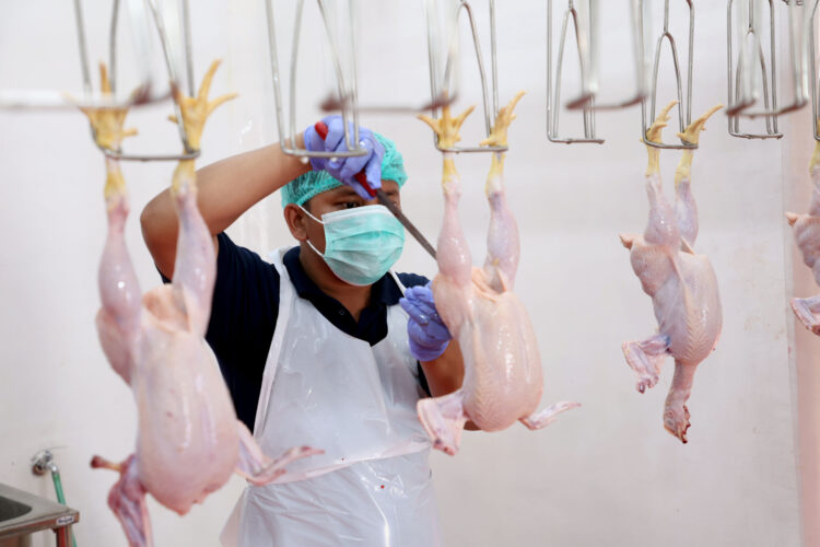 RPH Surabaya Tawarkan Fasilitas Potong Ayam dan Bebek di Lakarsantri. (Foto: dok RPH Unggas Surabaya)