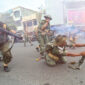 Foto: dok Parade Juang 2025