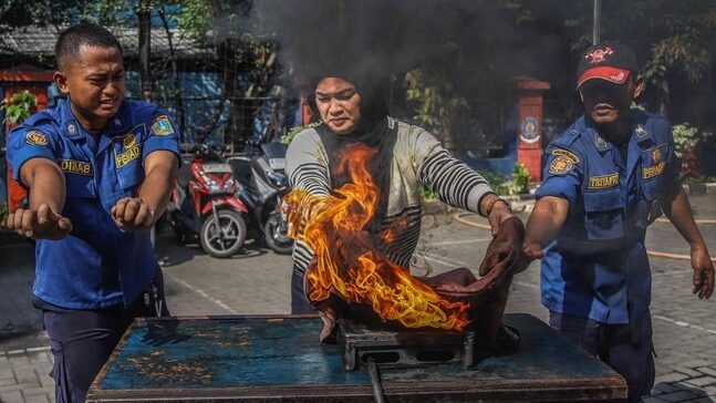 Ilustrasi (Foto: dok/ist)